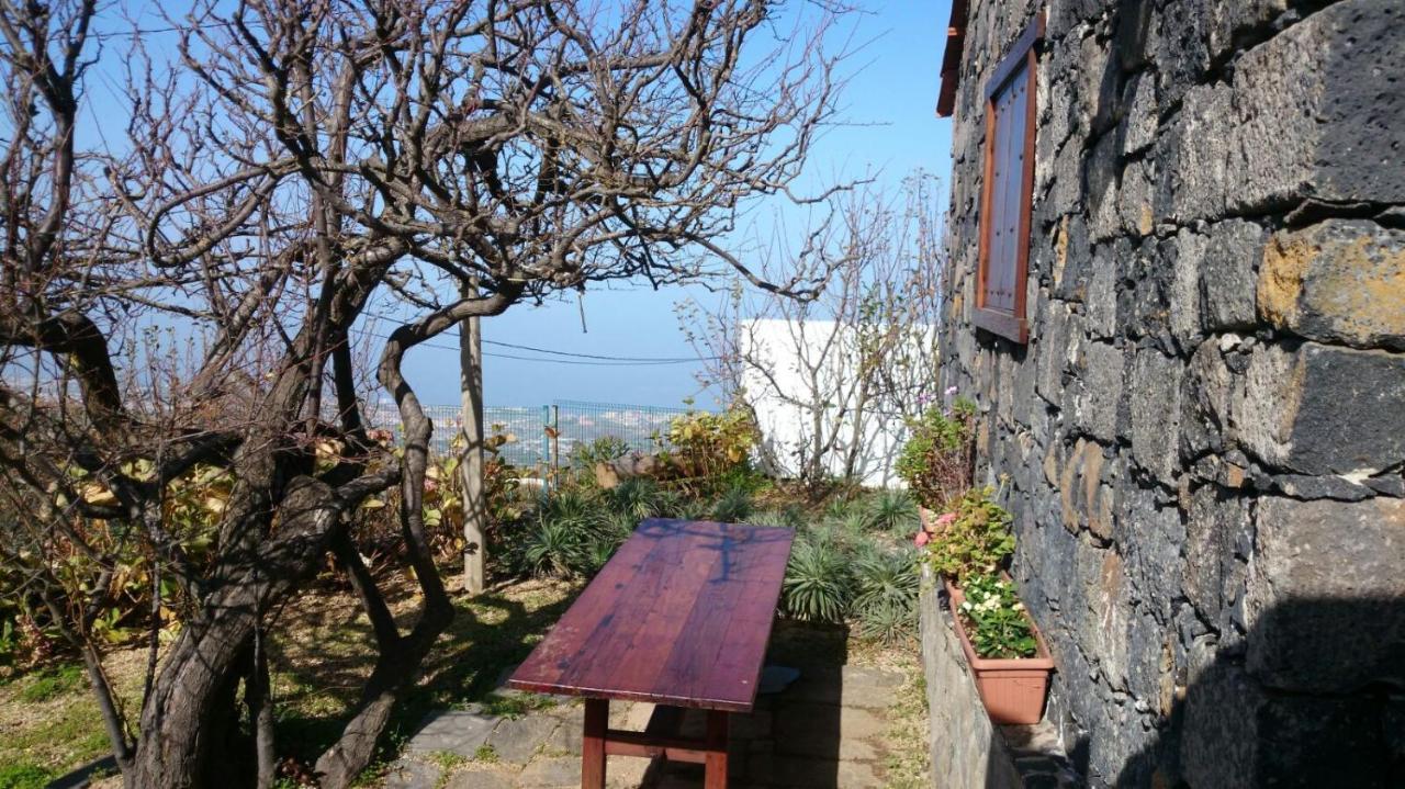 El Pajar De Ines Guest House La Orotava Ngoại thất bức ảnh