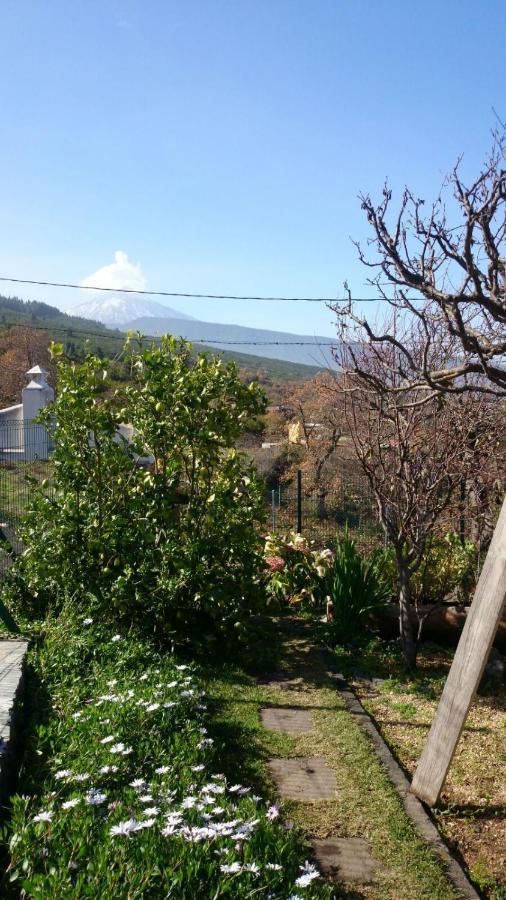 El Pajar De Ines Guest House La Orotava Ngoại thất bức ảnh