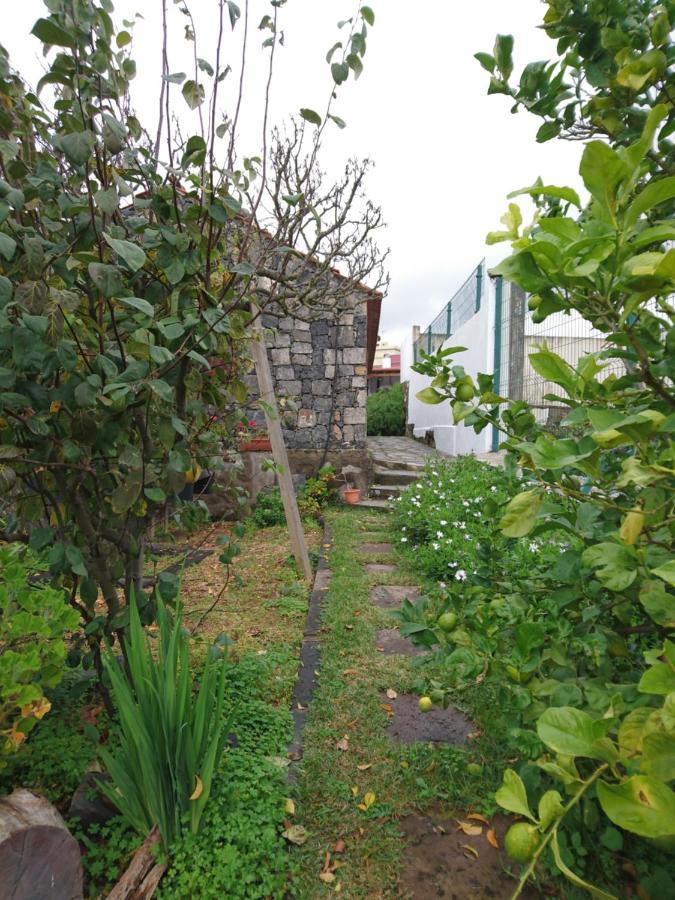 El Pajar De Ines Guest House La Orotava Ngoại thất bức ảnh