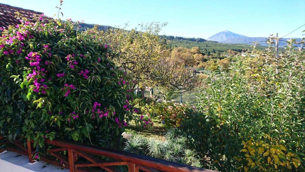 El Pajar De Ines Guest House La Orotava Ngoại thất bức ảnh