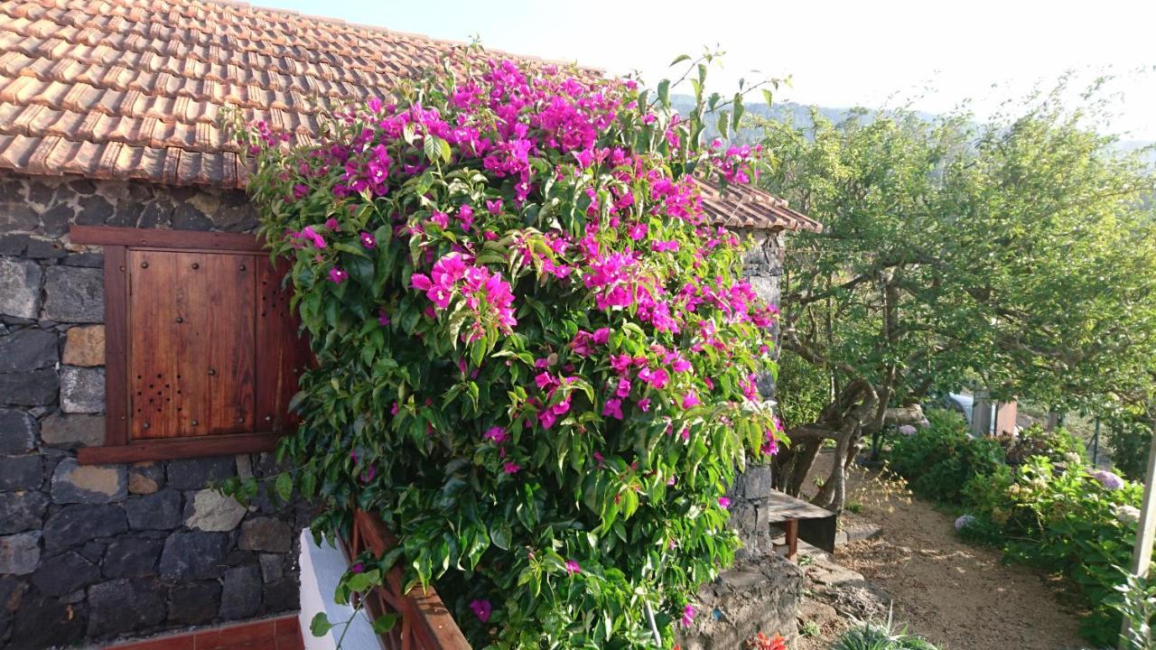El Pajar De Ines Guest House La Orotava Ngoại thất bức ảnh